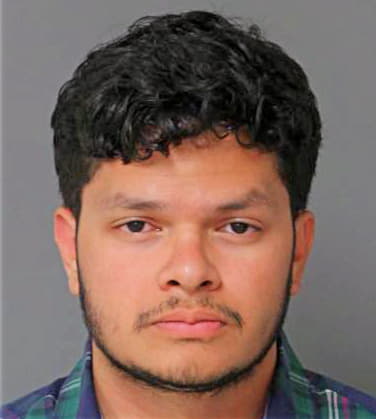 Reyes Jafeth - Wake County, NC 