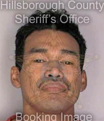 Peters Michael - Hillsborough County, FL 