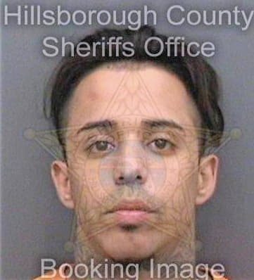 Mendoza Daniel - Hillsborough County, FL 