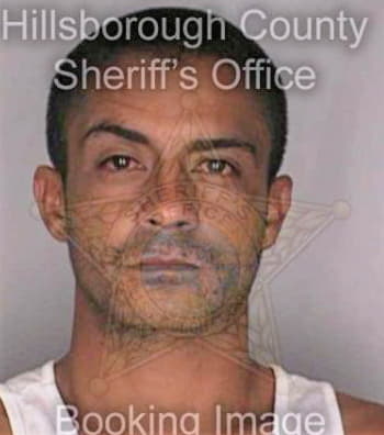 Santiago Edwin - Hillsborough County, FL 