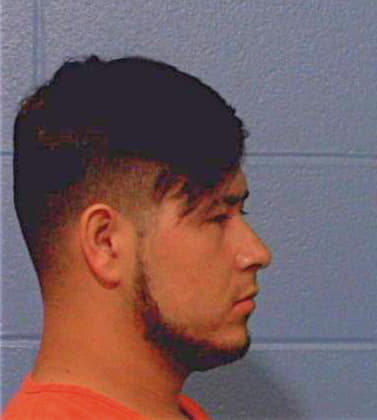 Gonzales Ernesto - Williamson County, TX 