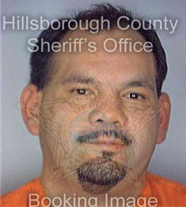 Corona Henry - Hillsborough County, FL 