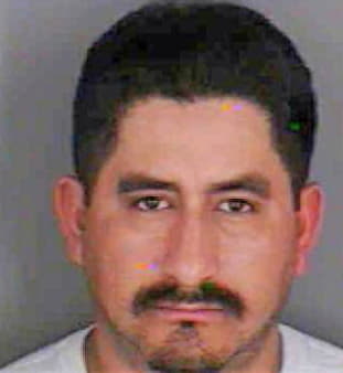 Gonzalez Hugo - Collier County, FL 