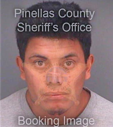 Moreno Jamie - Pinellas County, FL 