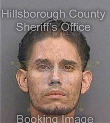 Arroyoserrano Levi - Hillsborough County, FL 