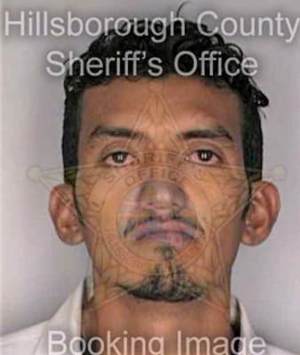 Ferrerafunes Miguel - Hillsborough County, FL 