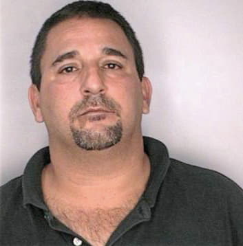 Mondo Peter - Hillsborough County, FL 