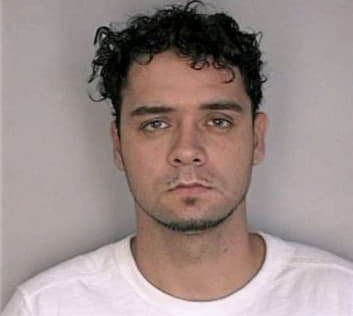 Pereira Raul - Hillsborough County, FL 