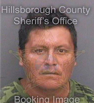 Valdezmartinez Alvaro - Hillsborough County, FL 