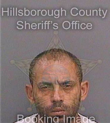 Elghazal Basem - Hillsborough County, FL 