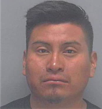 Sebastian Emilio - Lee County, FL 