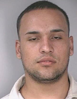 Cardona Hammer - Hillsborough County, FL 