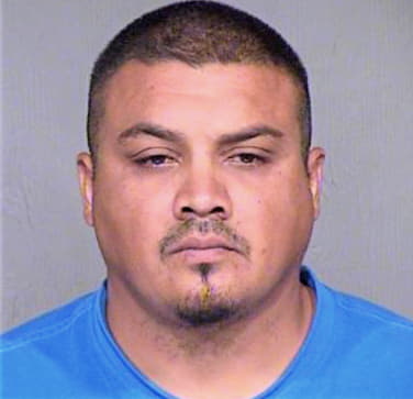 Mendoza Luis - Maricopa County, AZ 
