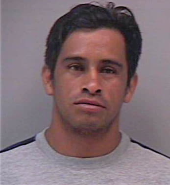 Gonzalez Ramon - Gwinnett County, GA 