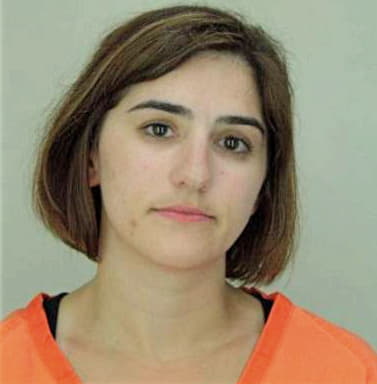 Samp Angel - Hillsborough County, FL 
