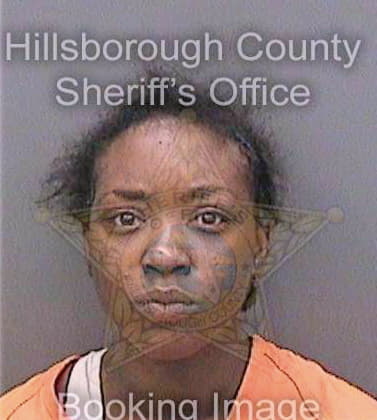 Dennis Bridget - Hillsborough County, FL 