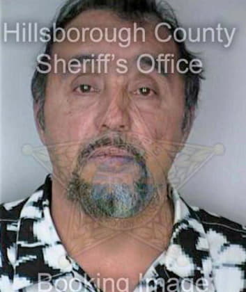 Vega Carlos - Hillsborough County, FL 