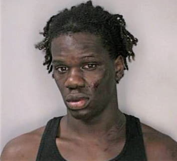 Stephens Daniel - Hillsborough County, FL 