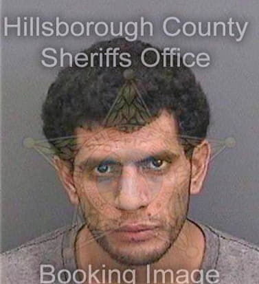 Perez George - Hillsborough County, FL 