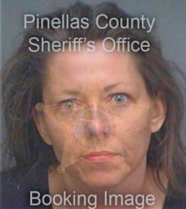Salyers Karen - Pinellas County, FL 