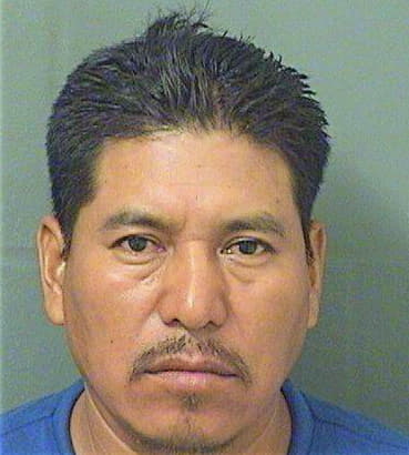 Reynosoramirez Mario - PalmBeach County, FL 