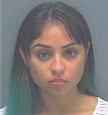 Mendez Melisa - Lee County, FL 