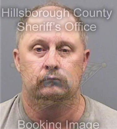 Brown Chad - Hillsborough County, FL 