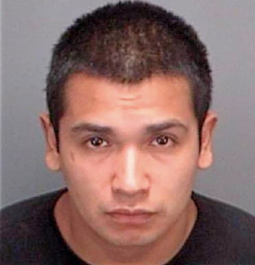 Linaresobando Sergio - Pinellas County, FL 