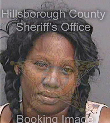 Mcneal Fabrey - Hillsborough County, FL 