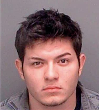 Espinoza Gavin - Pinellas County, FL 
