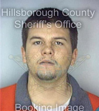 Hearns Mike - Hillsborough County, FL 