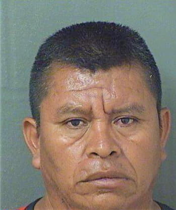 Andresyandres Regino - PalmBeach County, FL 