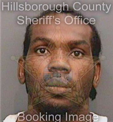 Robinson Anthony - Hillsborough County, FL 