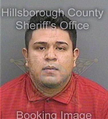 Trevino Antonio - Hillsborough County, FL 