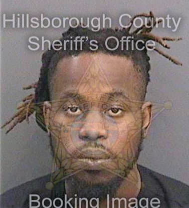 Mcneal Deandre - Hillsborough County, FL 