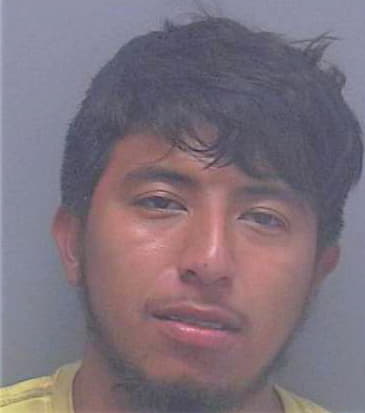 Gonzalez Fernando - Lee County, FL 
