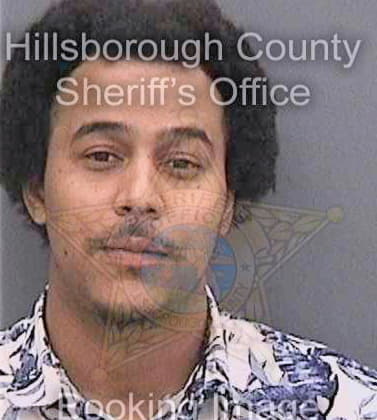Powery Julian - Hillsborough County, FL 