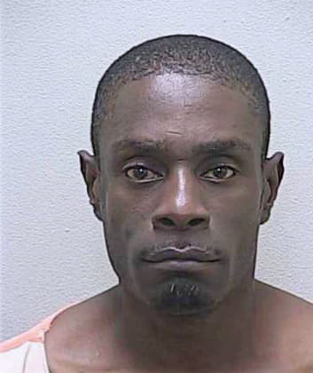 Johnson Michael - Marion County, FL 