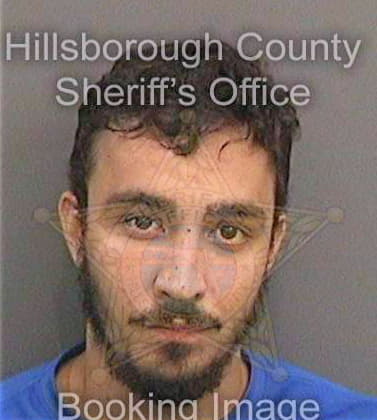 Menendez Tino - Hillsborough County, FL 