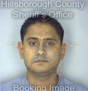 Patel Mitesh - Hillsborough County, FL 