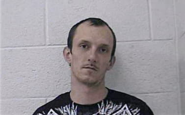 Hensley Matthew - Washington County, TN 