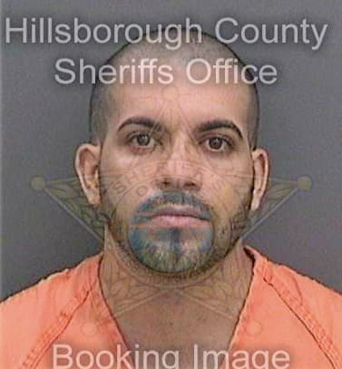 Ricardoasencio Yoandry - Hillsborough County, FL 