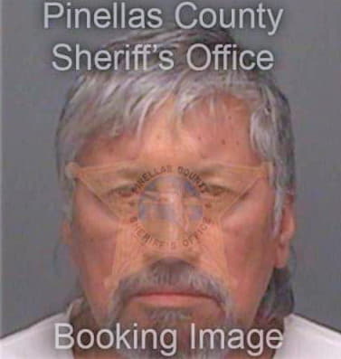 Sanchez Fernando - Pinellas County, FL 