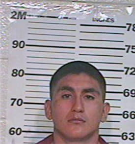 Alvarez Obed - Hidalgo County, TX 