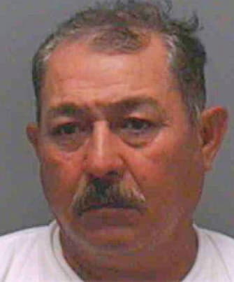 Silva-Arceo Ramiro - Lee County, FL 