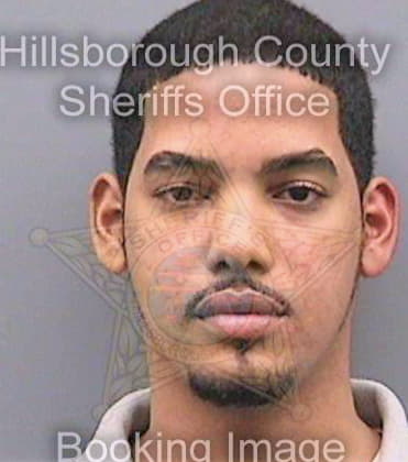 Bradley Robert - Hillsborough County, FL 