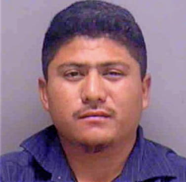 Hernandez Edmar - Lee County, FL 