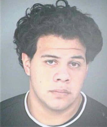 Ramirez Christopher - Hillsborough County, FL 