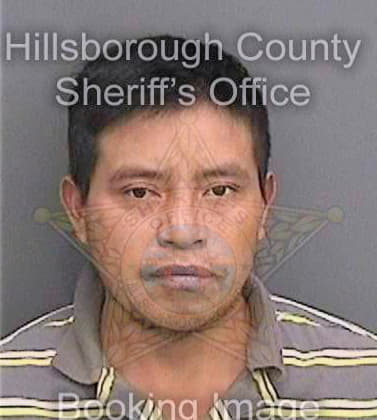 Perezbarrios Primitivo - Hillsborough County, FL 