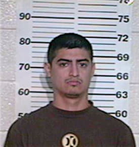 Gonzalez Hector - Hidalgo County, TX 